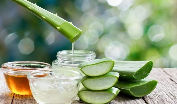 Fresh aloe leaf and gel prepared on a table