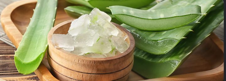 Aloe gel cubes in a wooden bowl beside sliced leaves